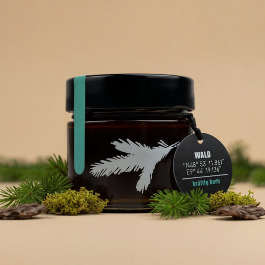 Glas Bio Waldhonig der Honigwanderer, kräftig aromatisch mit feinen Waldnoten, im schwarzen Designglas