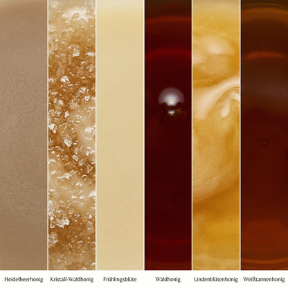 Sechs verschiedene Honigsorten des Goldnote 6er Symphonie Honigsets – Heidelbeerhonig, Kristall-Waldhonig, Frühlingsblüte, Waldhonig, Lindenblütenhonig und Weißtannenhonig