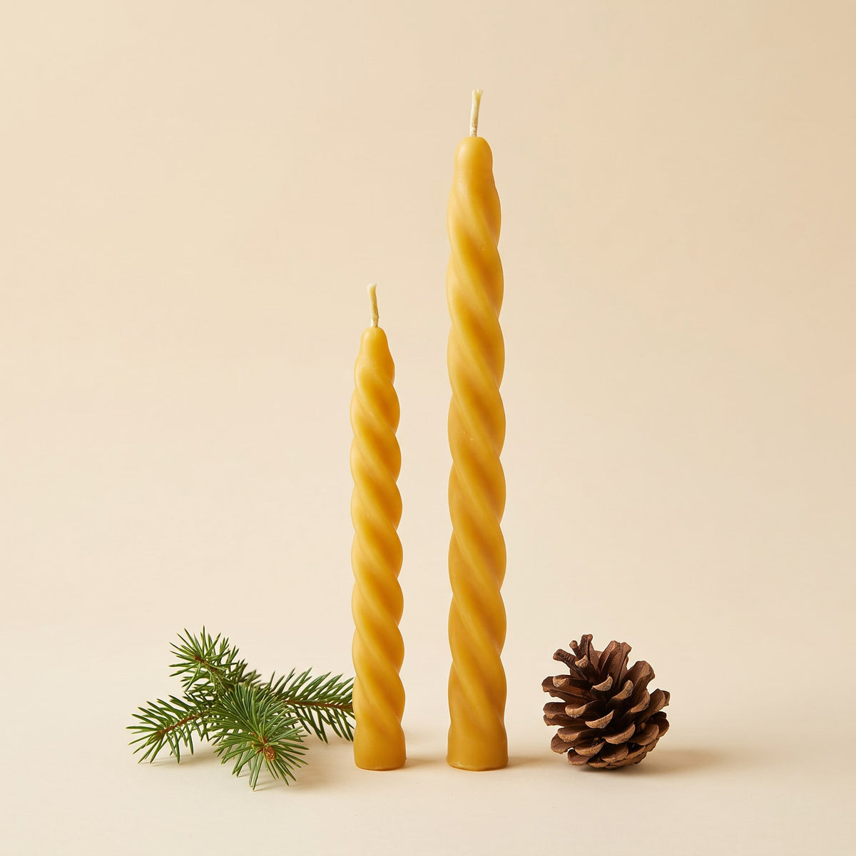 Zwei Spiralkerzen aus Bienenwachs, klein und groß, mit Tannenzweig und Zapfen