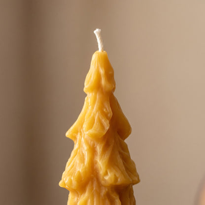 Große Tannenbaum-Kerze aus Bienenwachs in Nahaufnahme: Docht und Oberfläche