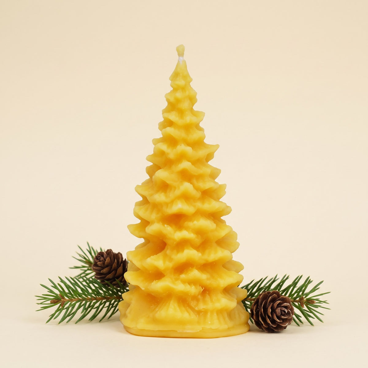 Kleine Tannenbaum-Kerze aus Bienenwachs mit Tannenzweig und Zapfen
