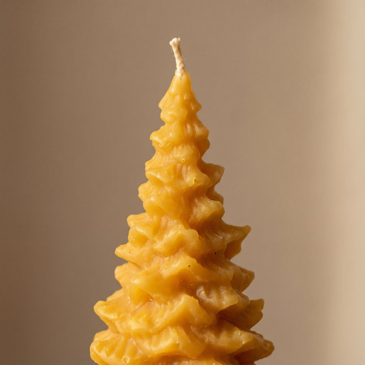 Kleine Tannenbaum-Kerze aus Bienenwachs in Nahaufnahme: Docht und Oberfläche