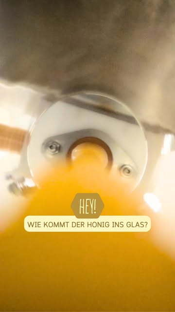 Reel: Wie kommt der Honig ins Glas?