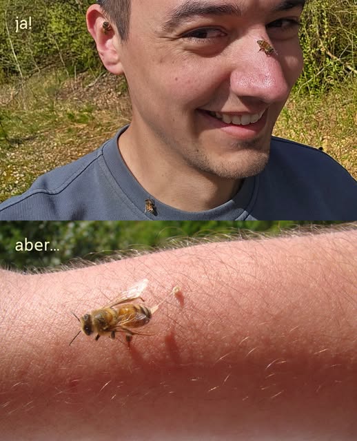 Biene auf dem Arm