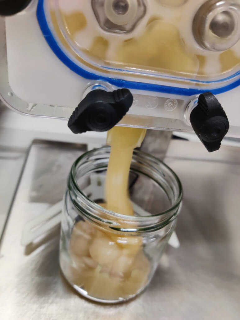 Handwerkliche Abfüllung von cremigem Honig in Gläser bei der Imkerei mit der Goldnote – schonend verarbeitet im Bayerischen Wald.