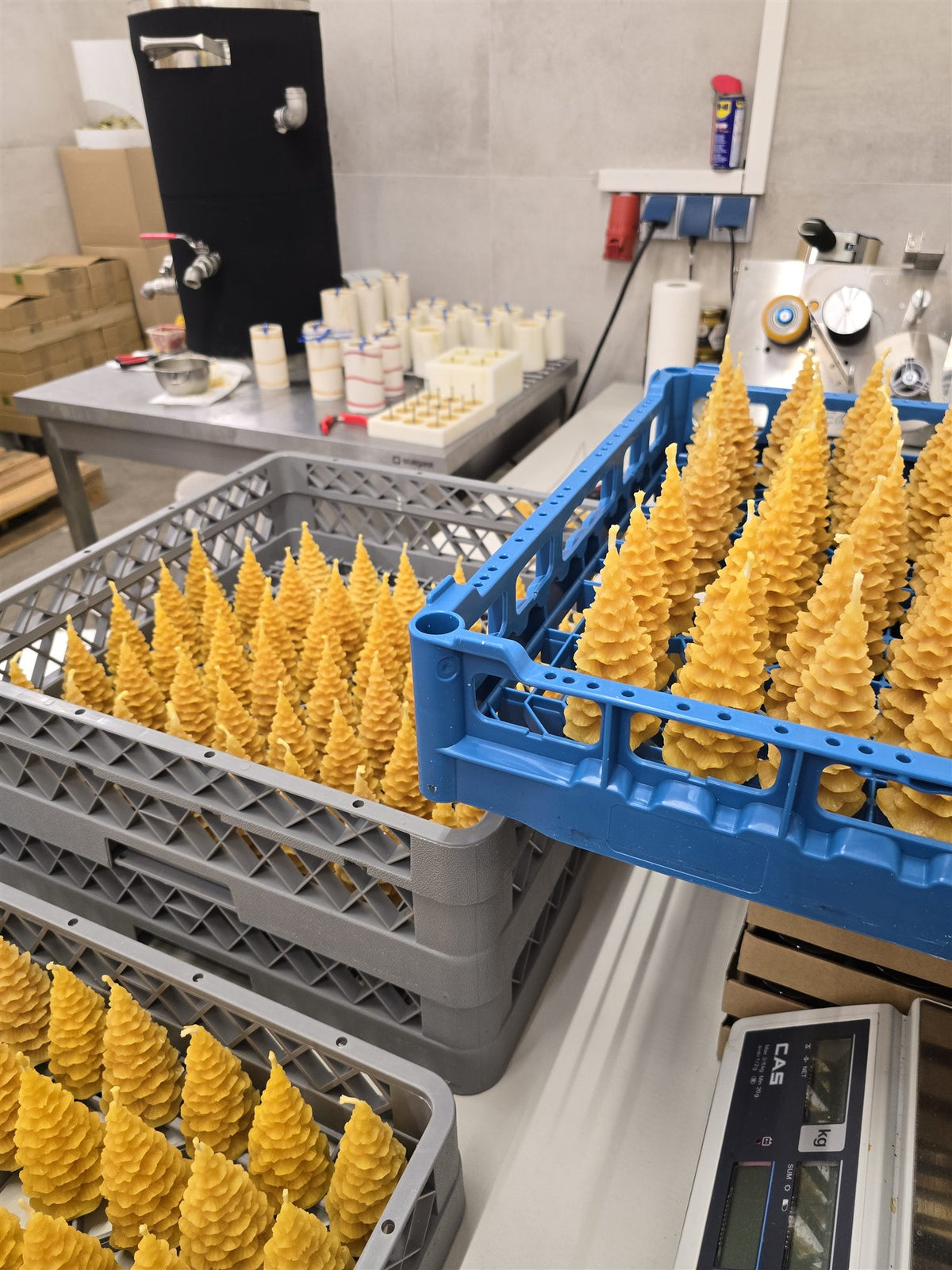 Fertige Tannenbaumkerzen aus Bienenwachs in der Werkstatt