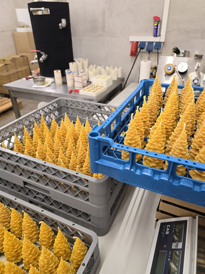 Fertige Tannenbaumkerzen aus Bienenwachs in der Werkstatt